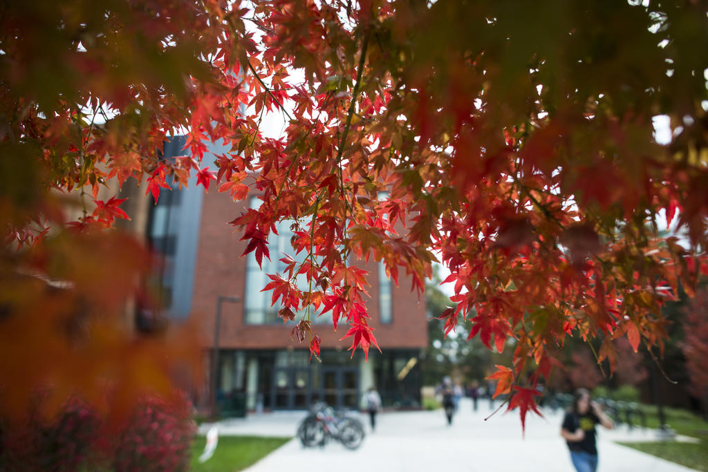 Red fall leaves on Fairfax Campus